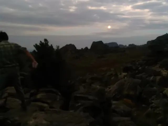 IMAG2778