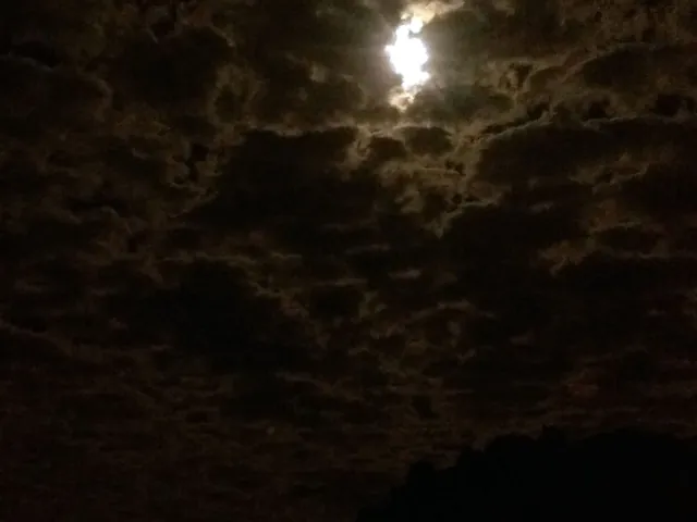 IMAG2808